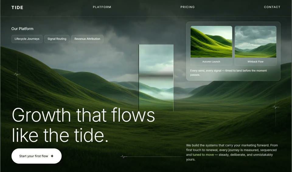 Tide