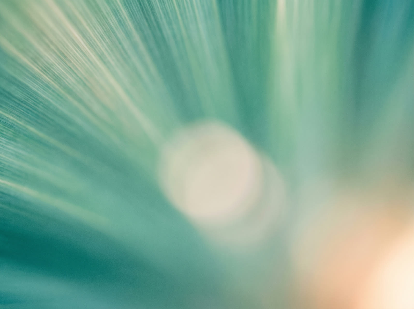 Mint Soft Rays