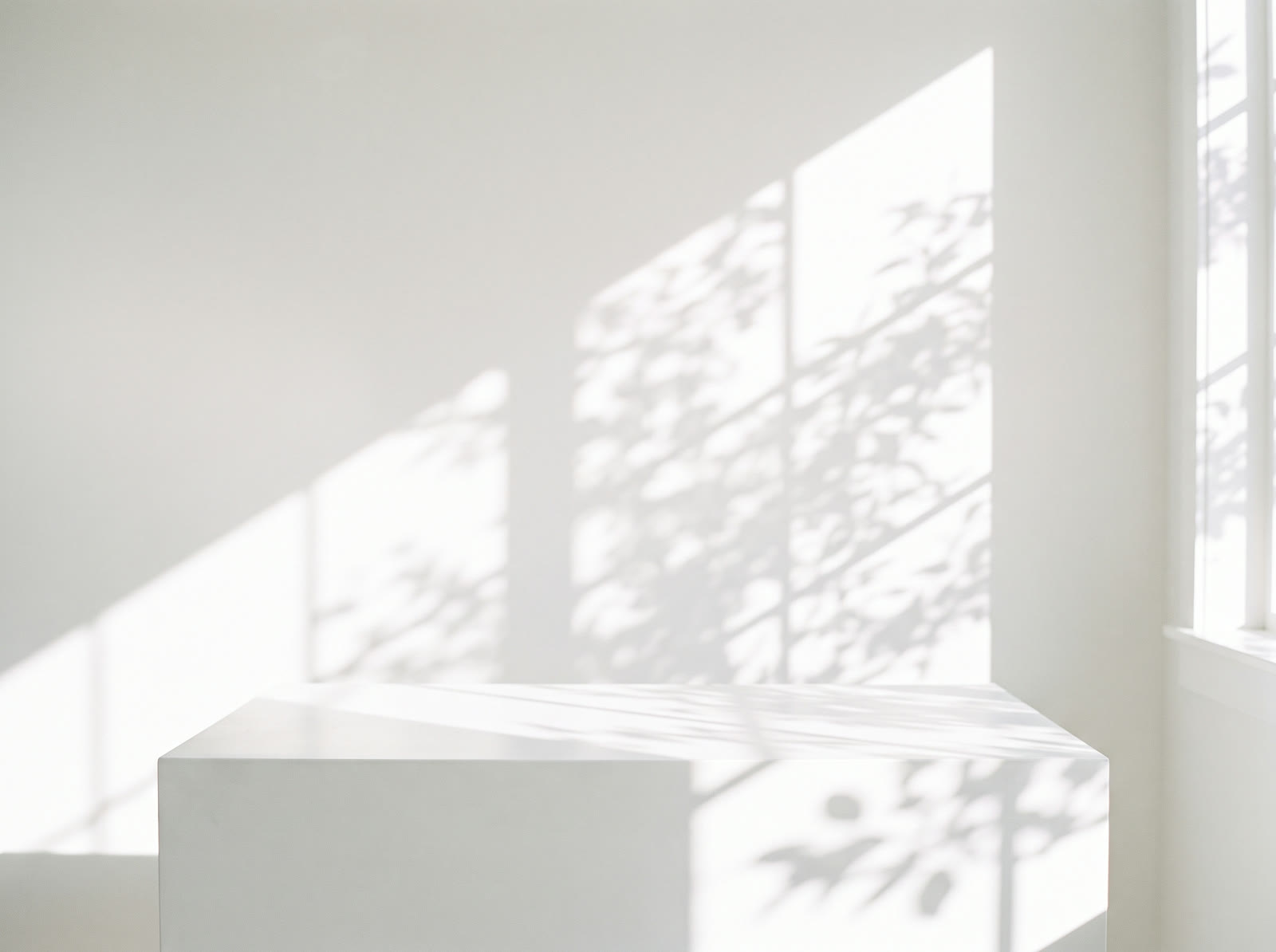 White Room Shadows