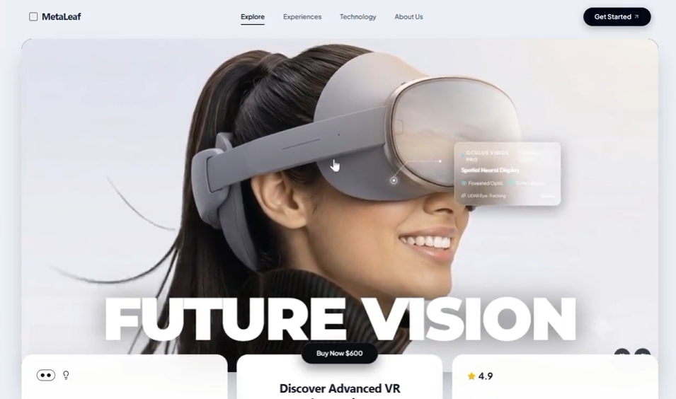Visor