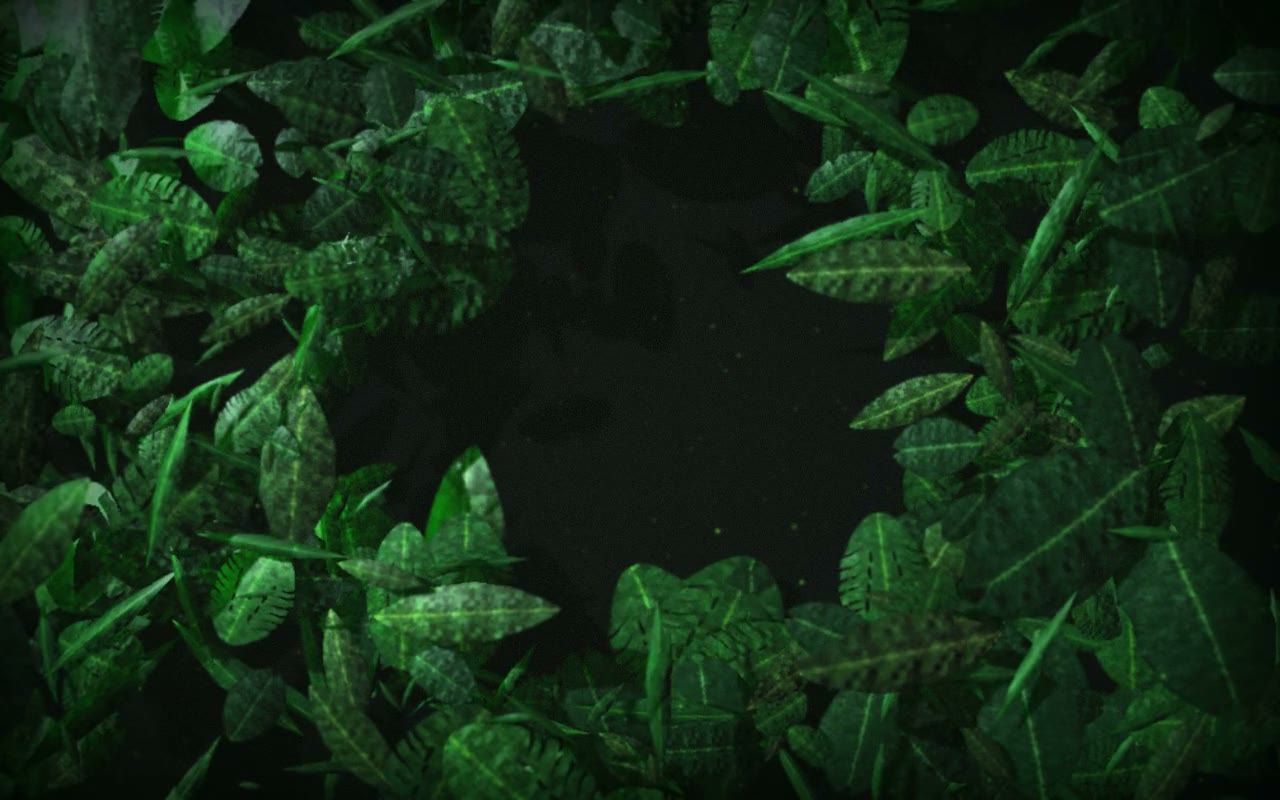 Jungle Canopy