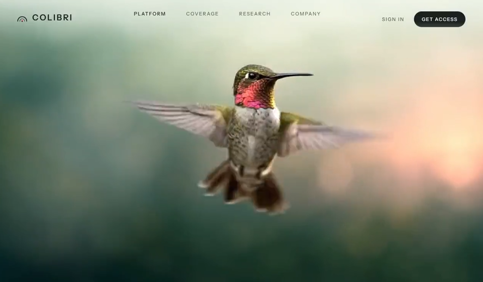 Colibri