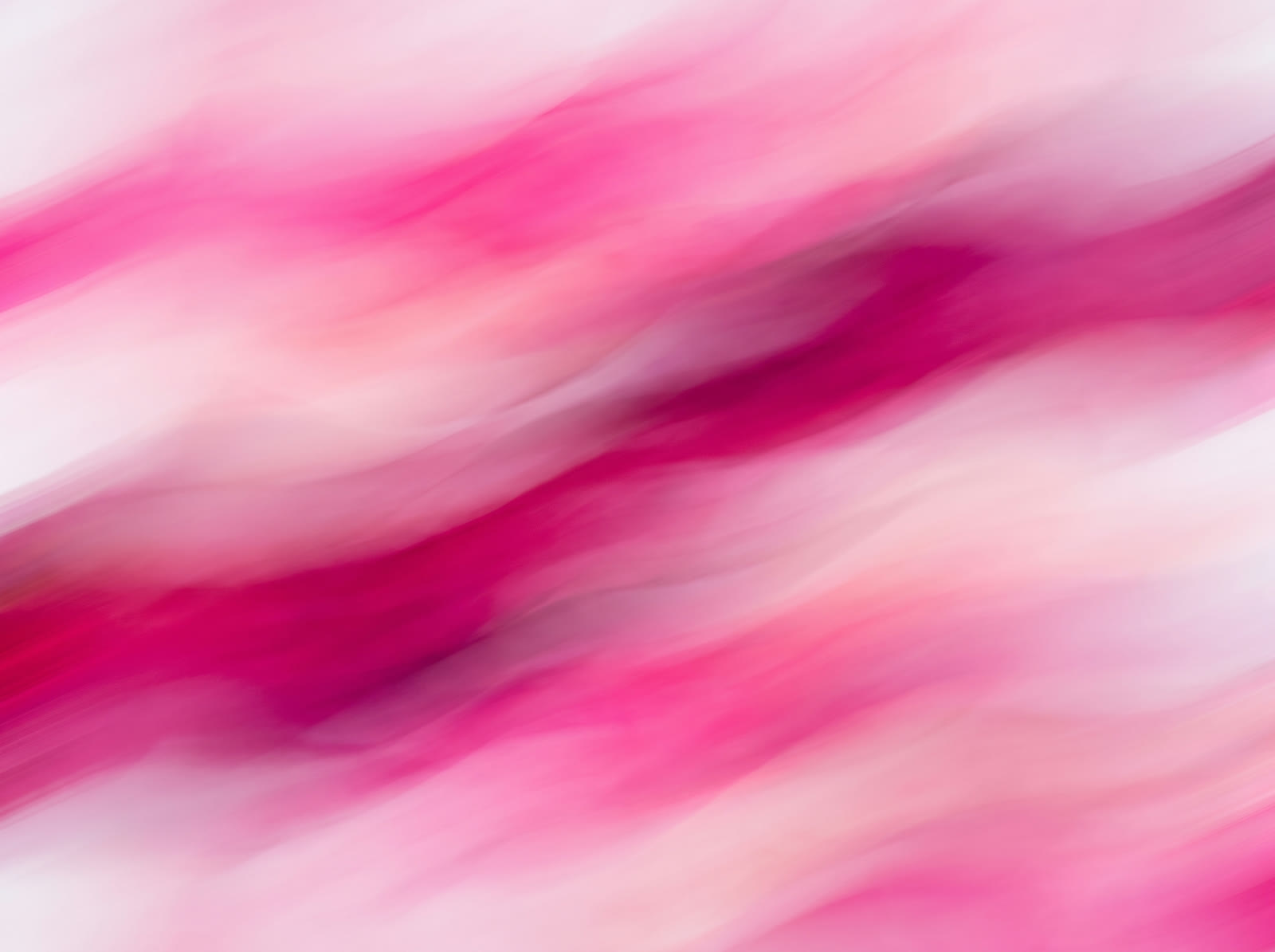 Pink Blur Waves