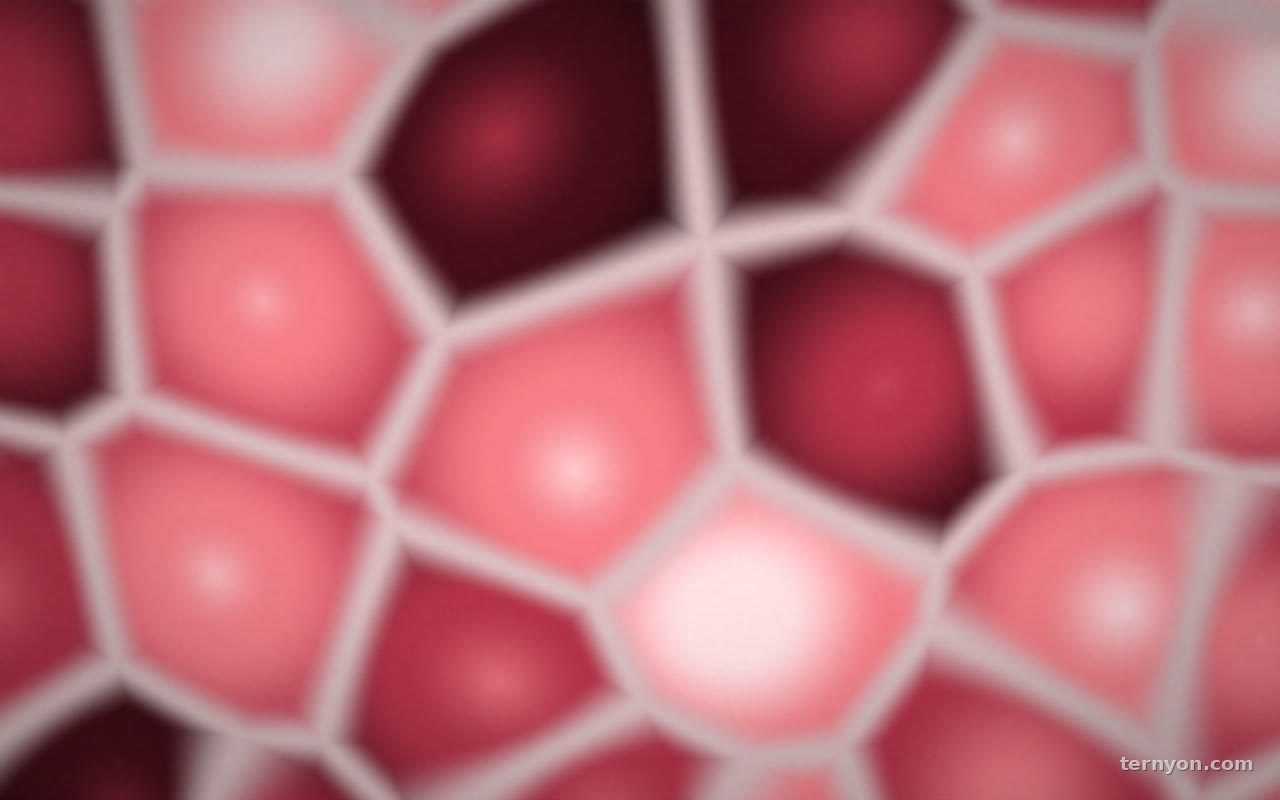 Coral Cells
