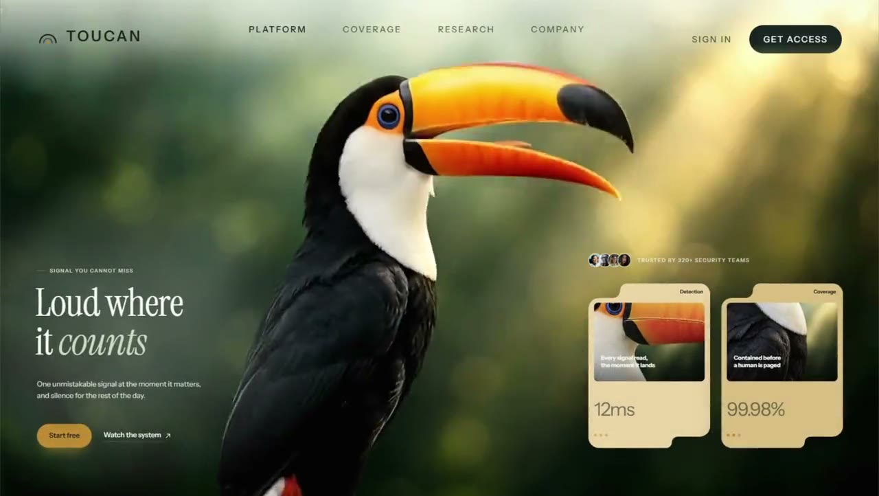 Toucan