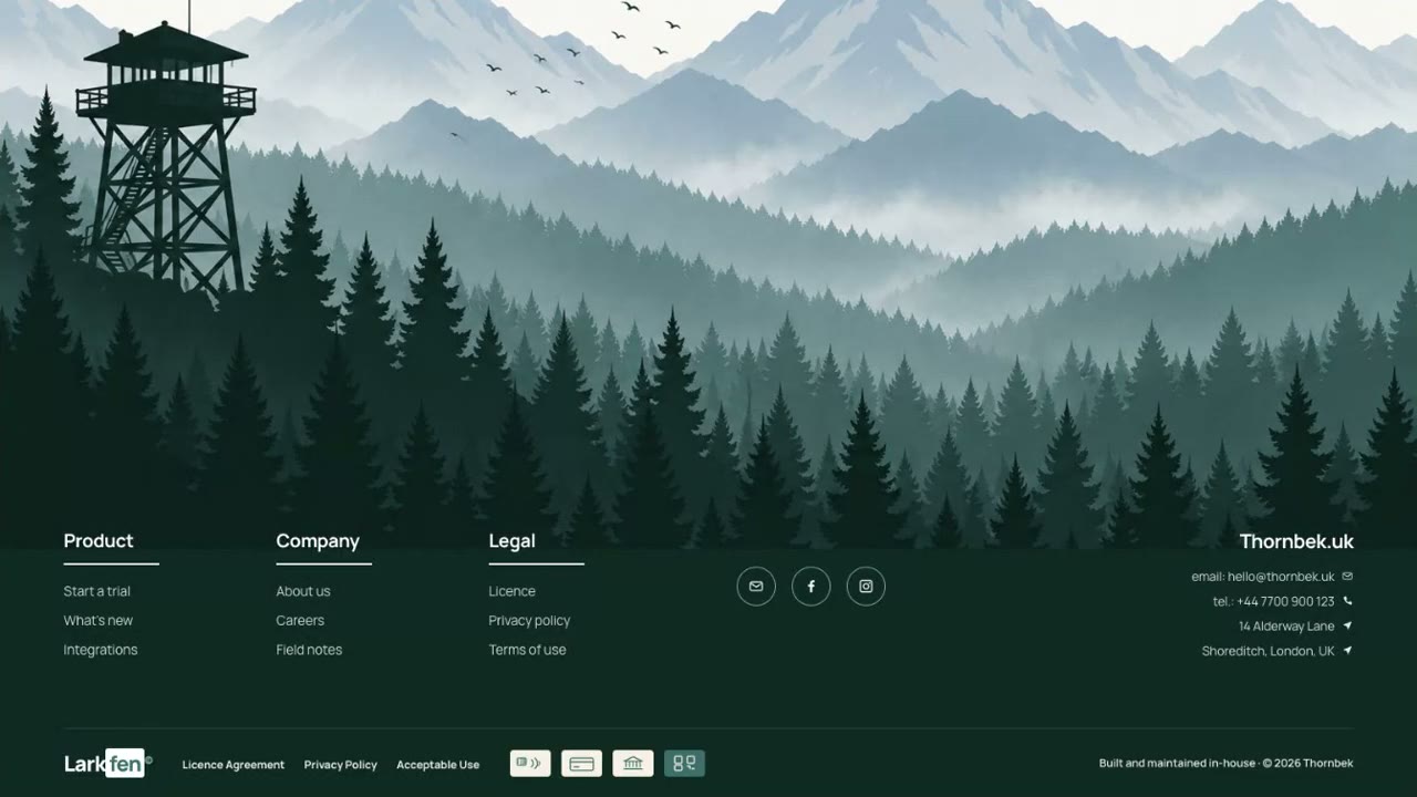 Fog Forest