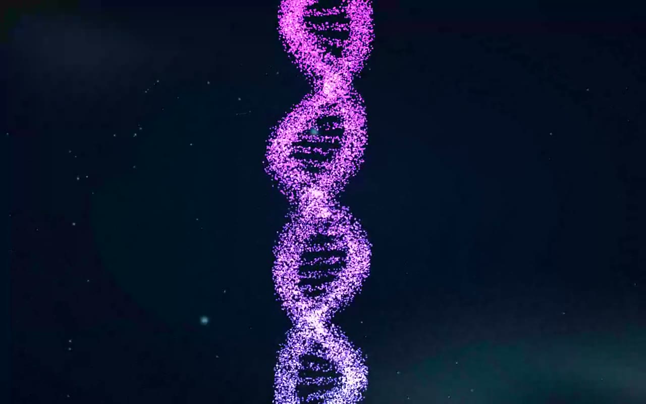 DNA Helix